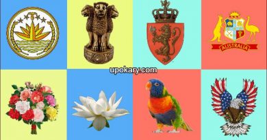 National symbol