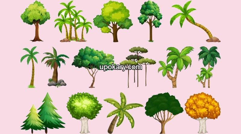 tree