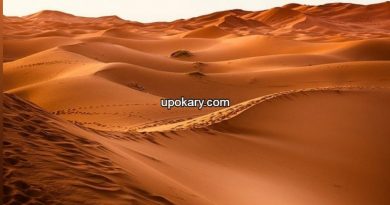Desertt