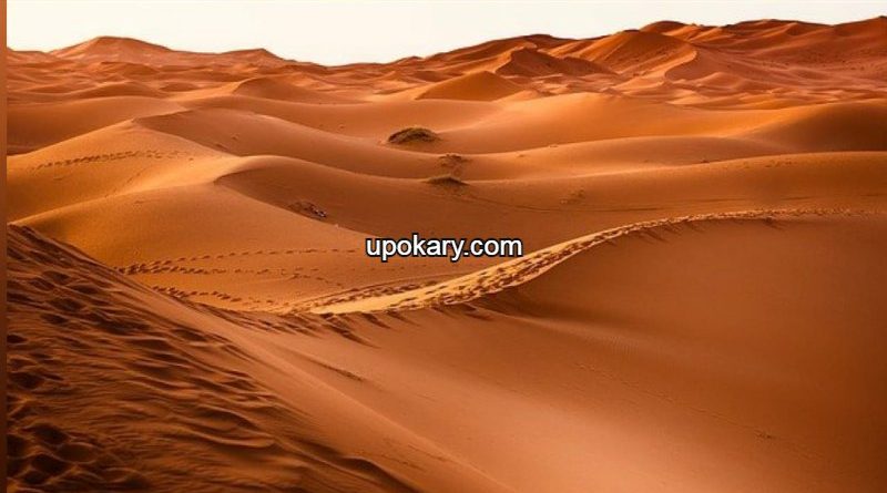 Desertt