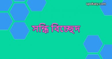 Sondhi-bicched