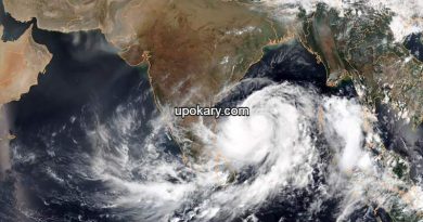 cyclonefani