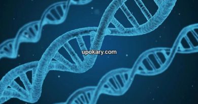 dna