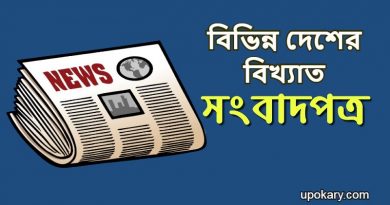 newspaper