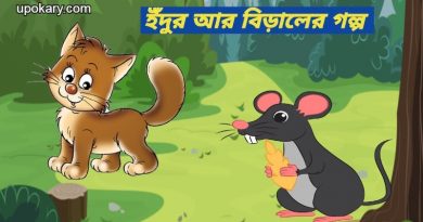 rat