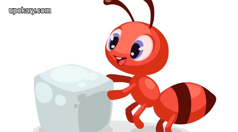 shutterstock