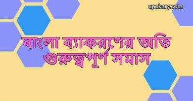 somach