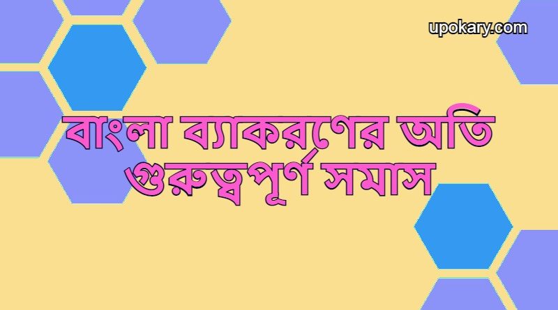 somach