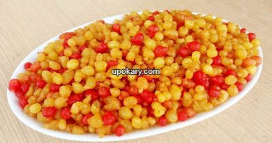 Bundiya