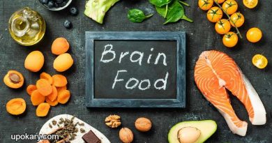 brain food