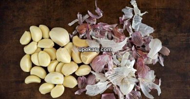 garlic-skin