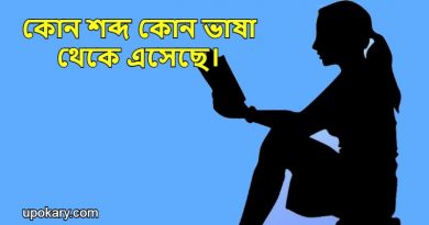 language