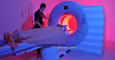 mri scan