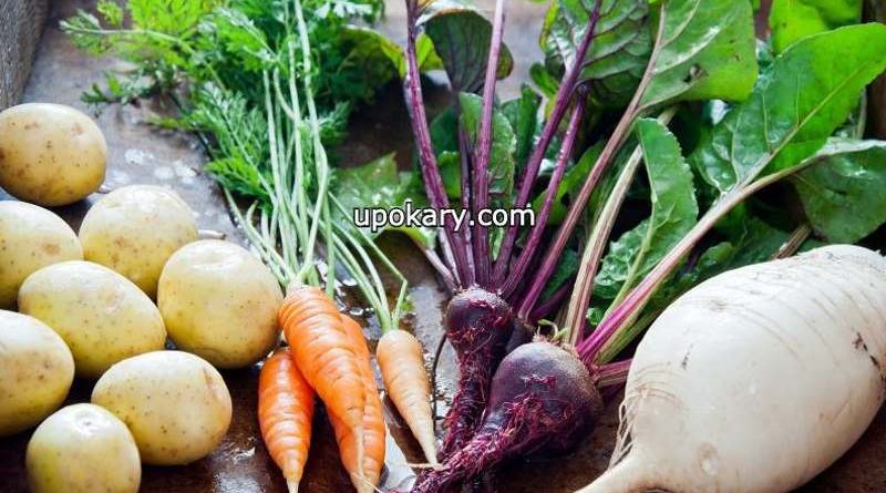 root-vegetable