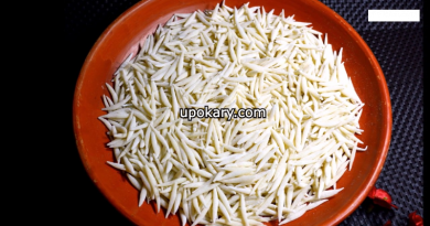sushi pitha