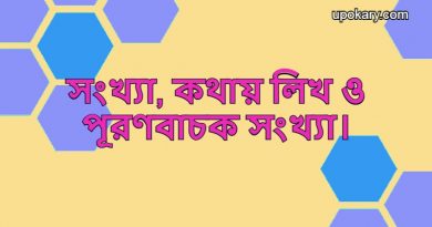 Complementary_terms