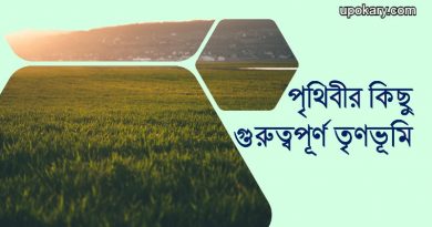 Grasslandd