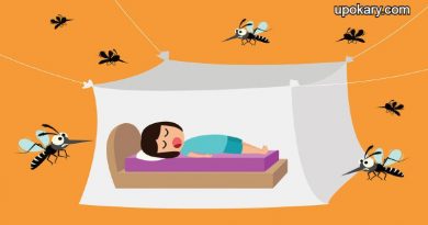 Mosquitoes