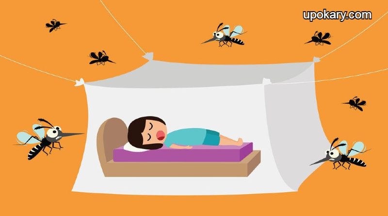 Mosquitoes