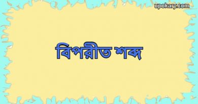 Opposite_word