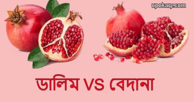 dalim