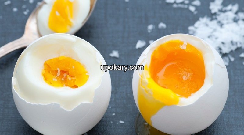 egg