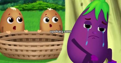 potato