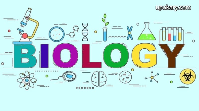 Biology