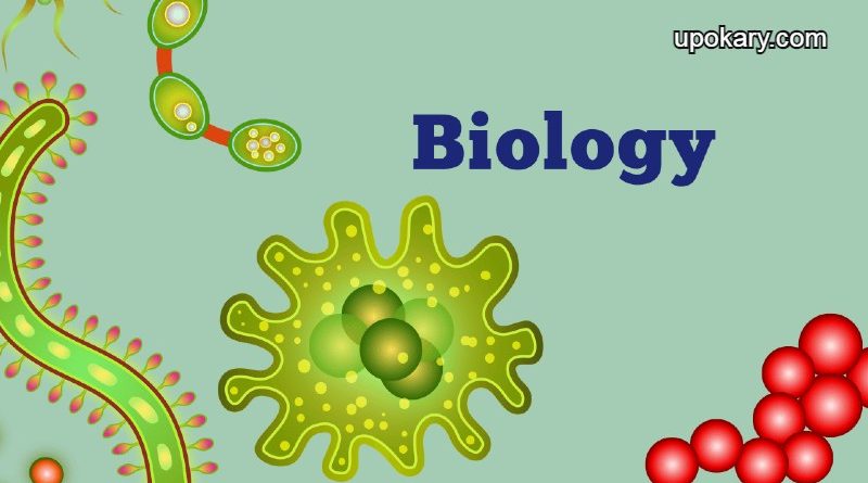 Biology