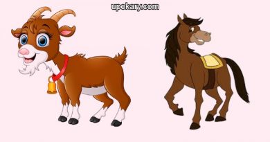 Horses