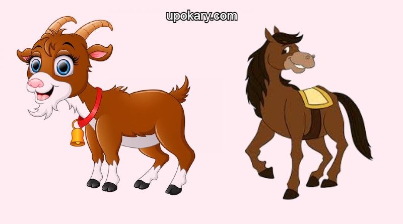 Horses