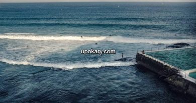 Ocean