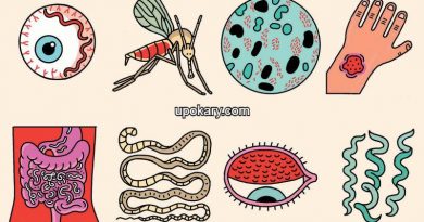 diseases