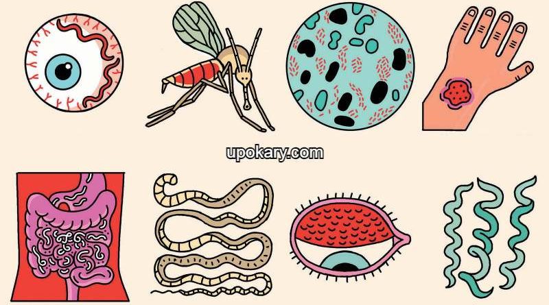 diseases