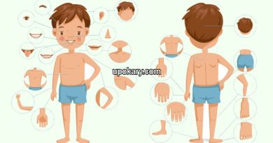 parts_of_body