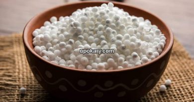 sabudana
