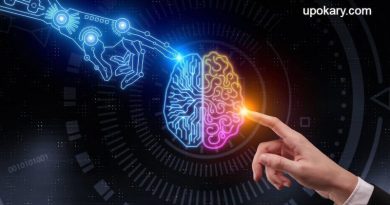 Human-brain