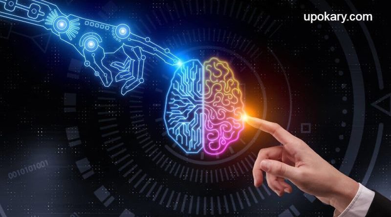 Human-brain