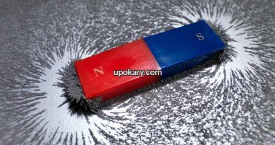 Magnet