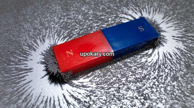 Magnet