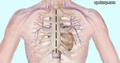Open_Heart_surgery