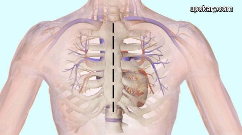 Open_Heart_surgery