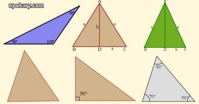 Trianglee