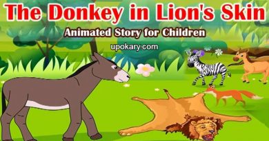 donkey