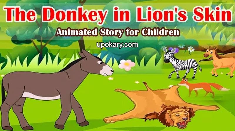 donkey