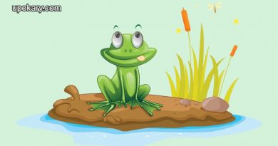 frog
