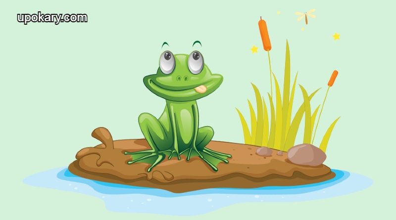 frog