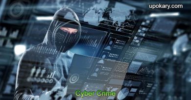 cybercrime