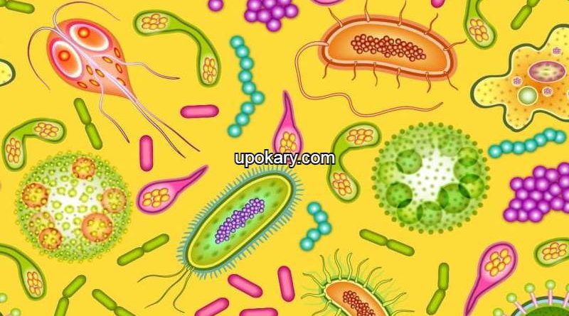 Biology