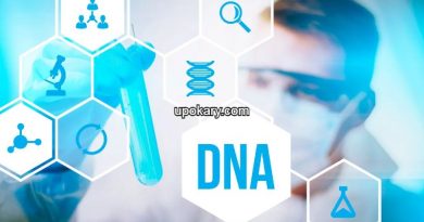 DNA Test